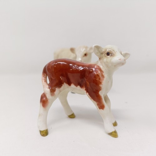 1005 - A Beswick Hereford Calf, 1406B, a Charolais Calf, 1827B, and a Highland Calf, 1827D, all gloss (3)