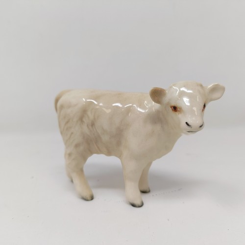 1005 - A Beswick Hereford Calf, 1406B, a Charolais Calf, 1827B, and a Highland Calf, 1827D, all gloss (3)