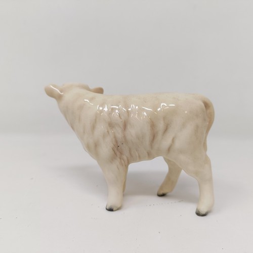 1005 - A Beswick Hereford Calf, 1406B, a Charolais Calf, 1827B, and a Highland Calf, 1827D, all gloss (3)