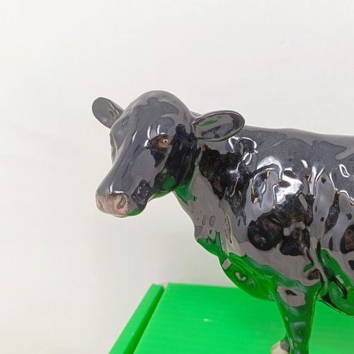 1006 - A Beswick Black Galloway Cow, 4113B, BCC 2002, gloss