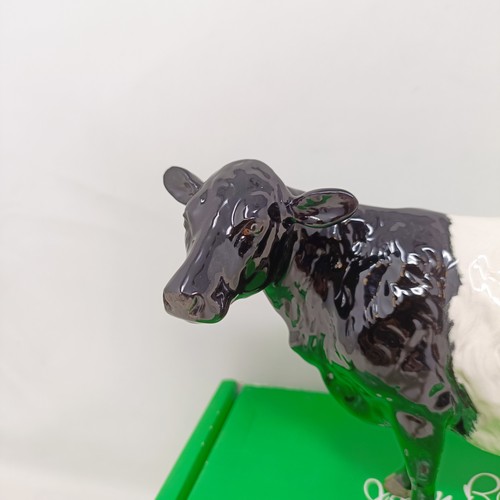 1007 - A Beswick Belted Galloway Cow, 4113A, and a Shetland Cow, 4112, both gloss (2)...