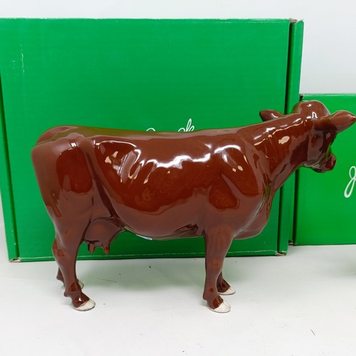 1008 - A Beswick Shetland Cow, 4112, and a Red Poll Cow, 4111, both gloss (2)...