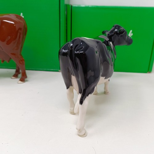 1008 - A Beswick Shetland Cow, 4112, and a Red Poll Cow, 4111, both gloss (2)