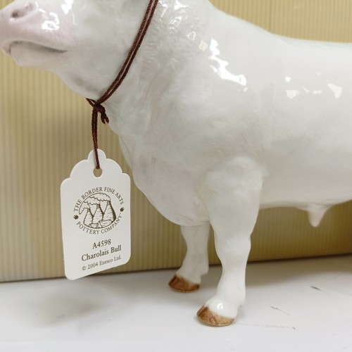 1009 - A Beswick Red Poll Cow, 4111, gloss, a Border Fine Arts Belgian Blue Bull, A4579, and a Charolais Bu... 