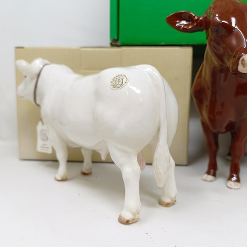 1009 - A Beswick Red Poll Cow, 4111, gloss, a Border Fine Arts Belgian Blue Bull, A4579, and a Charolais Bu... 