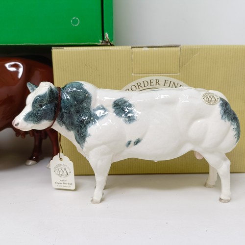 1009 - A Beswick Red Poll Cow, 4111, gloss, a Border Fine Arts Belgian Blue Bull, A4579, and a Charolais Bu... 