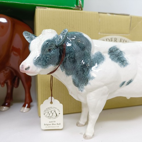 1009 - A Beswick Red Poll Cow, 4111, gloss, a Border Fine Arts Belgian Blue Bull, A4579, and a Charolais Bu... 