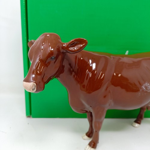 1009 - A Beswick Red Poll Cow, 4111, gloss, a Border Fine Arts Belgian Blue Bull, A4579, and a Charolais Bu... 