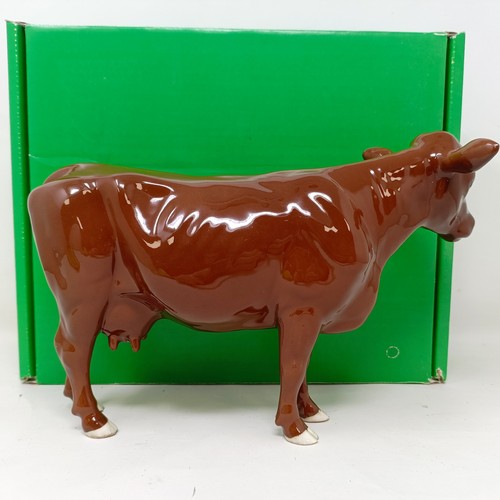 1009 - A Beswick Red Poll Cow, 4111, gloss, a Border Fine Arts Belgian Blue Bull, A4579, and a Charolais Bu... 