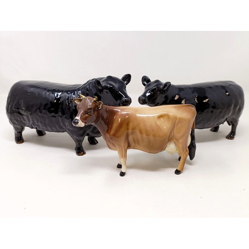 1010 - A Beswick Aberdeen Angus Bull, 1562, an Aberdeen Angus Cow, 1563, and a Jersey Cow, 1345, all gloss ...