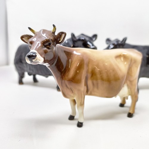 1010 - A Beswick Aberdeen Angus Bull, 1562, an Aberdeen Angus Cow, 1563, and a Jersey Cow, 1345, all gloss ... 