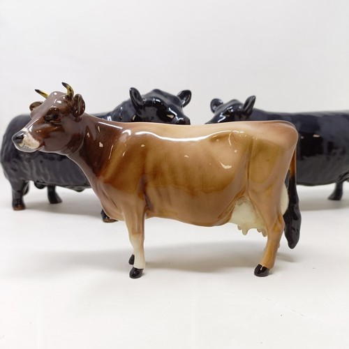 1010 - A Beswick Aberdeen Angus Bull, 1562, an Aberdeen Angus Cow, 1563, and a Jersey Cow, 1345, all gloss ...