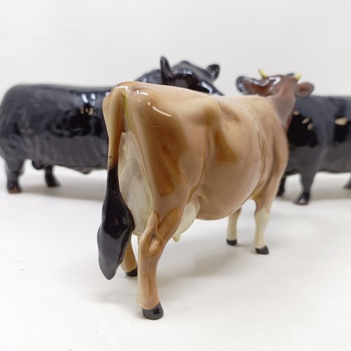 1010 - A Beswick Aberdeen Angus Bull, 1562, an Aberdeen Angus Cow, 1563, and a Jersey Cow, 1345, all gloss ... 