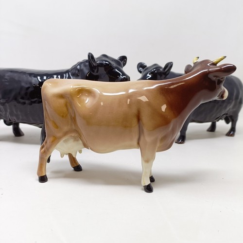 1010 - A Beswick Aberdeen Angus Bull, 1562, an Aberdeen Angus Cow, 1563, and a Jersey Cow, 1345, all gloss ... 