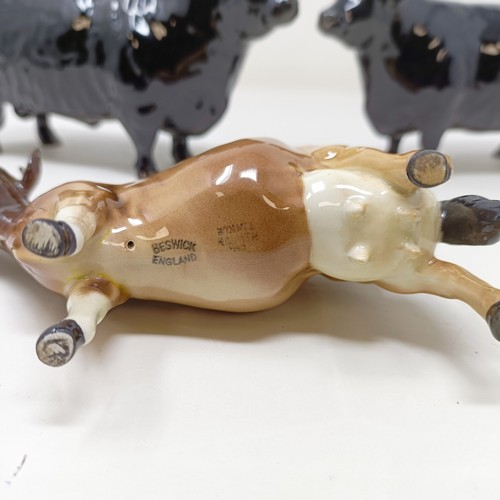 1010 - A Beswick Aberdeen Angus Bull, 1562, an Aberdeen Angus Cow, 1563, and a Jersey Cow, 1345, all gloss ... 