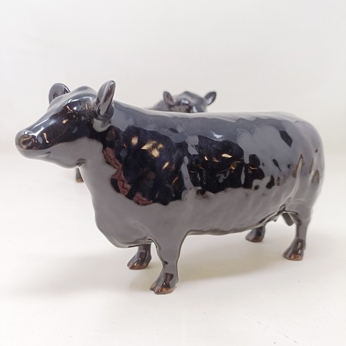 1010 - A Beswick Aberdeen Angus Bull, 1562, an Aberdeen Angus Cow, 1563, and a Jersey Cow, 1345, all gloss ...