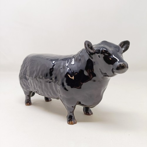 1010 - A Beswick Aberdeen Angus Bull, 1562, an Aberdeen Angus Cow, 1563, and a Jersey Cow, 1345, all gloss ...