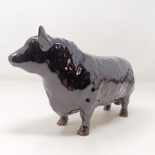 1010 - A Beswick Aberdeen Angus Bull, 1562, an Aberdeen Angus Cow, 1563, and a Jersey Cow, 1345, all gloss ...