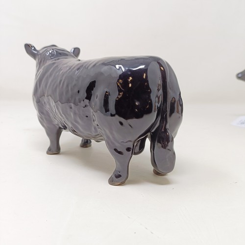 1010 - A Beswick Aberdeen Angus Bull, 1562, an Aberdeen Angus Cow, 1563, and a Jersey Cow, 1345, all gloss ...