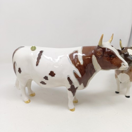 1012 - A Beswick Ayrshire Bull, 1454B, and an Ayrshire Cow, 1350, both gloss (2)