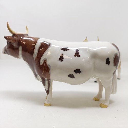 1012 - A Beswick Ayrshire Bull, 1454B, and an Ayrshire Cow, 1350, both gloss (2)