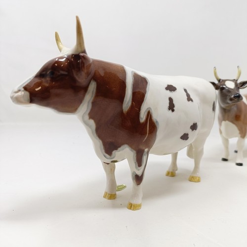 1012 - A Beswick Ayrshire Bull, 1454B, and an Ayrshire Cow, 1350, both gloss (2)