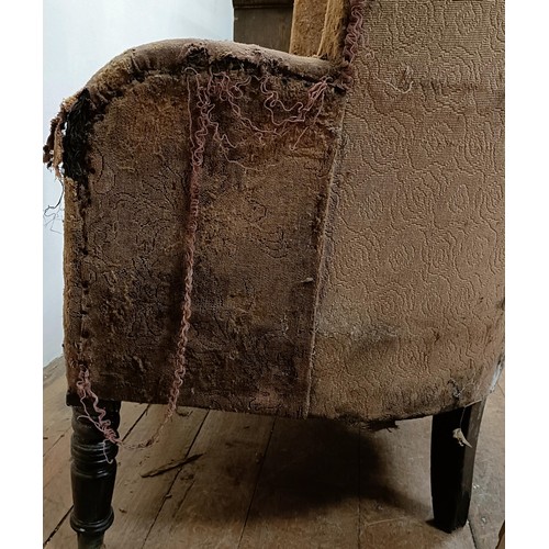 1255 - A late 19th/early 20th century tub chair, in need of extensive restoration