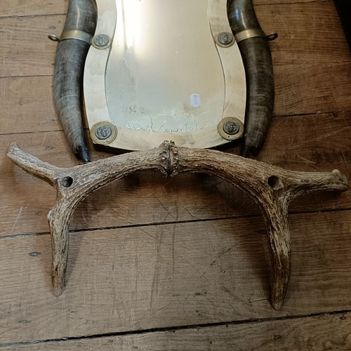 1212 - An unusual horn and antler mounted wall mirror, with gilt metal mounts, 66 x 49 cm