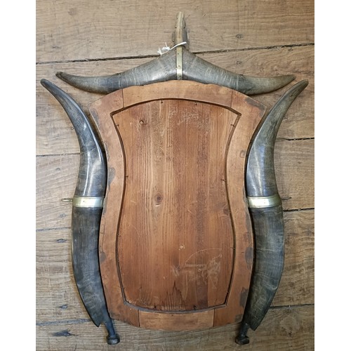 1212 - An unusual horn and antler mounted wall mirror, with gilt metal mounts, 66 x 49 cm