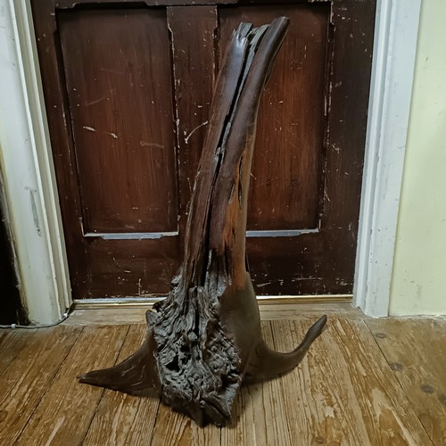 1239 - A bamboo root, 67 cm high