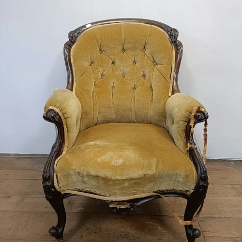 1259 - A 19th century walnut framed button back armchair