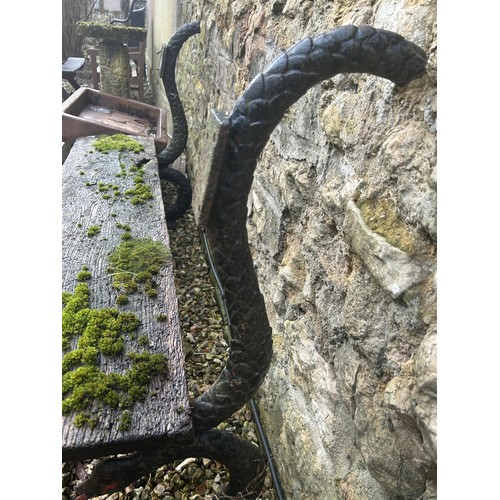 1356 - A garden bench, with cast iron ends in the form of snakes, 133 cm wide, seat heavily weathered, lack... 