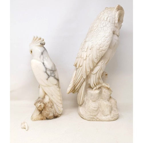 1049 - A carved stone owl, 43 cm high, and a soapstone cockatoo, crest broken, 32 cm high (2)