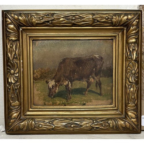 1007 - Continental school, a cow grazing, oil on board, 13 x 15 cm