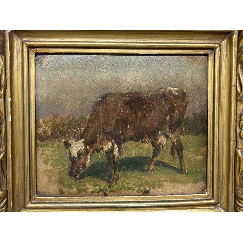 1007 - Continental school, a cow grazing, oil on board, 13 x 15 cm