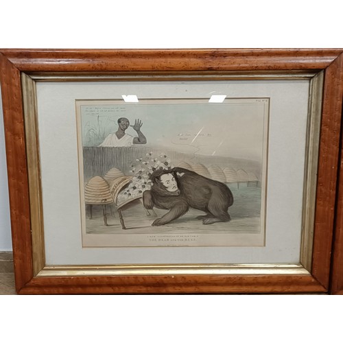 1157 - A pair of 19th century humorous prints, in maple frames