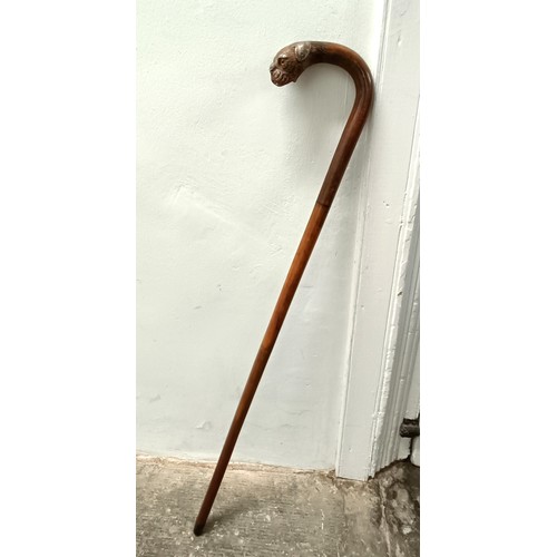 1116 - A late 19th/early 20th century novelty walking stick, the handle carved in the form of a bulldog's h... 