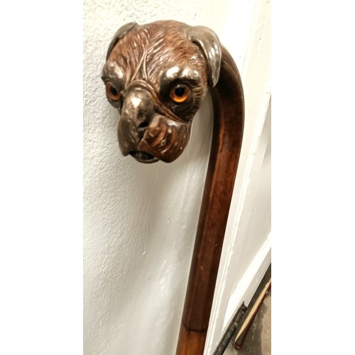 1116 - A late 19th/early 20th century novelty walking stick, the handle carved in the form of a bulldog's h... 