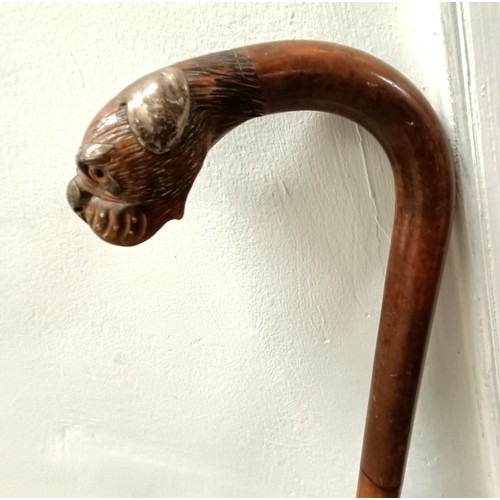 1116 - A late 19th/early 20th century novelty walking stick, the handle carved in the form of a bulldog's h... 