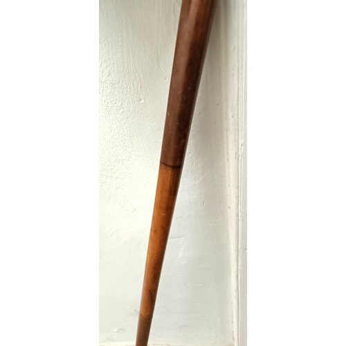 1116 - A late 19th/early 20th century novelty walking stick, the handle carved in the form of a bulldog's h... 