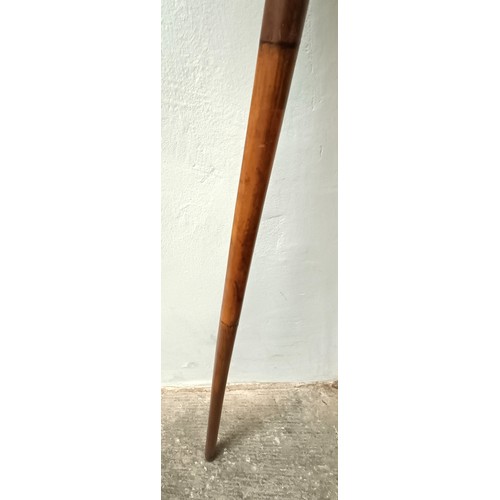 1116 - A late 19th/early 20th century novelty walking stick, the handle carved in the form of a bulldog's h... 