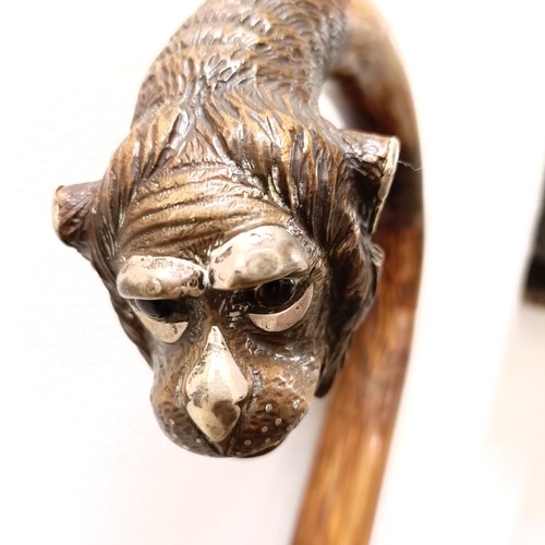 1119 - A late 19th/early 20th century walking stick, with a carved handle, in the form of a monkey, with si... 