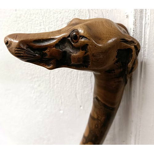 1122 - An early 20th century novelty walking stick, handle in the form of a greyhound, with glass eyes, 88 ... 