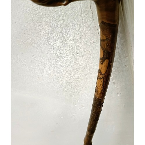 1122 - An early 20th century novelty walking stick, handle in the form of a greyhound, with glass eyes, 88 ... 