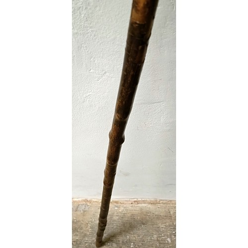 1122 - An early 20th century novelty walking stick, handle in the form of a greyhound, with glass eyes, 88 ... 