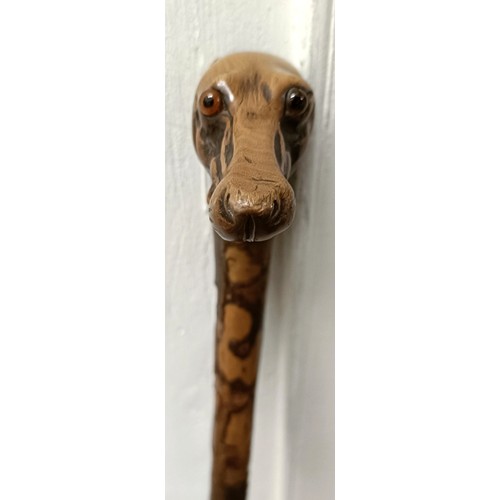 1122 - An early 20th century novelty walking stick, handle in the form of a greyhound, with glass eyes, 88 ... 