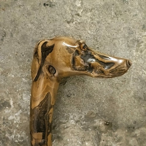 1122 - An early 20th century novelty walking stick, handle in the form of a greyhound, with glass eyes, 88 ... 