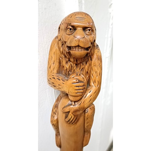 1123 - A novelty walking stick, handle carved in the form of a monkey, 94 cm Provenance: Part of a single o... 