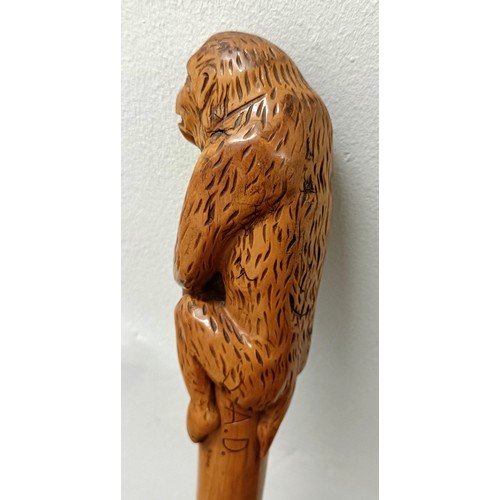 1123 - A novelty walking stick, handle carved in the form of a monkey, 94 cm Provenance: Part of a single o... 