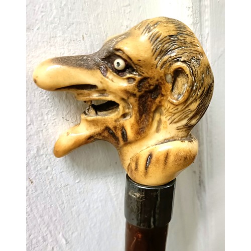 1125 - An early 20th century novelty walking stick, with a horn handle, carved in the form of a grotesque m... 